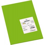 Canson Guarro Pack de 50 Cartulinas Iris A4 de 185g - 21x29.7cm - Color Verde Billar