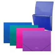 Erichkrause Pack de 4 Clasificadores Matt Vivid - 12 Fundas - Tamaño A4 - Colores Surtidos