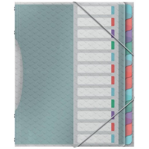Esselte Colour'Breeze Clasificador con 12 Pestañas Multicolor - Para Formato A4 - 3 Solapas en la Contraportada - Polpropileno